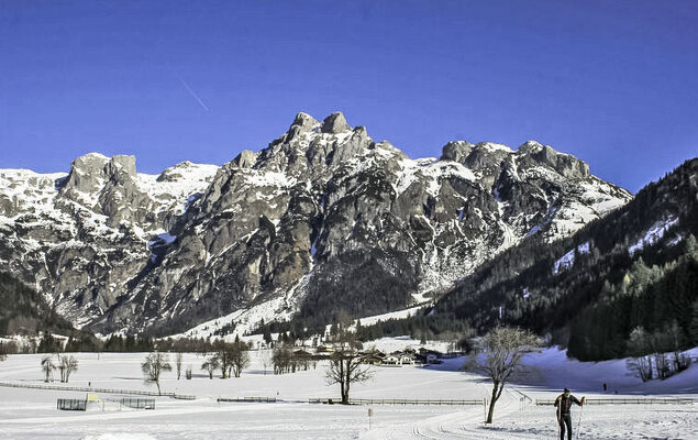 Edelweiss - Photo 13