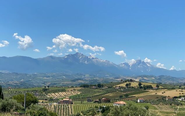 Mike's Dinghy House - Photo 43