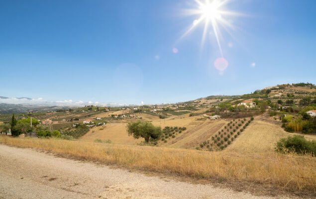 Mike's Dinghy House - Photo 44