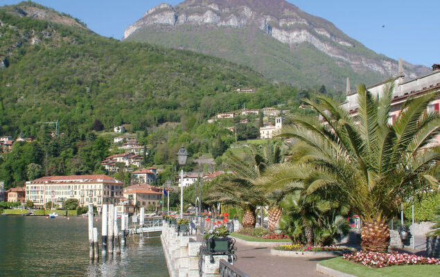 BonnyVista - Photo 23