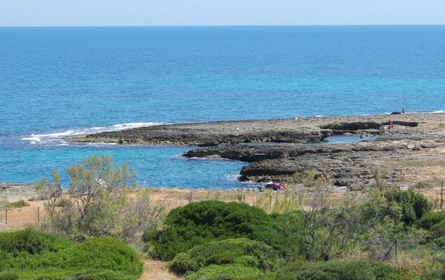 Happy Premium - Photo 5