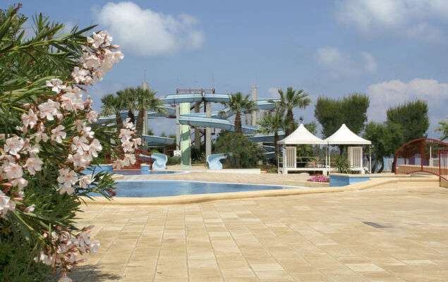 Happy Premium - Photo 15