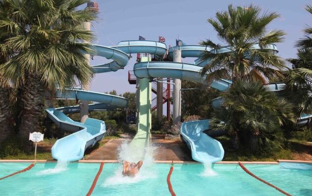 Happy Premium - Photo 17