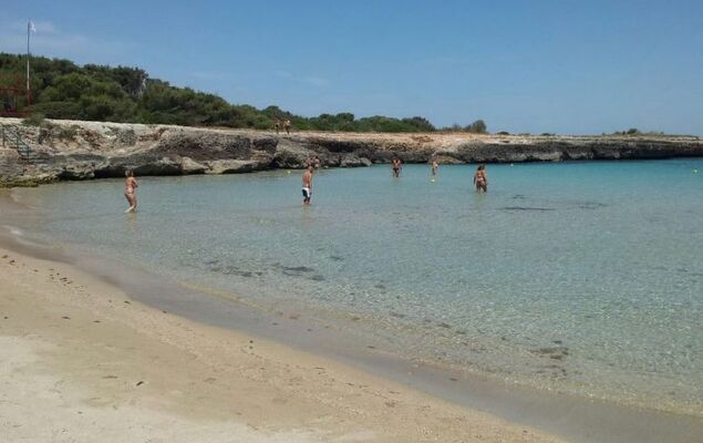 Happy Premium - Photo 21